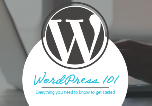 Wordpress 101 - AMPED creativ